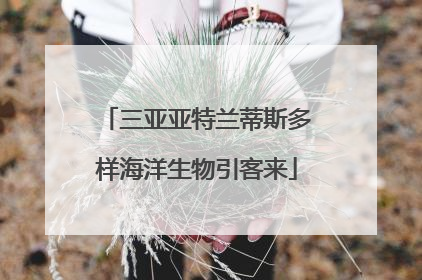 三亚亚特兰蒂斯多样海洋生物引客来