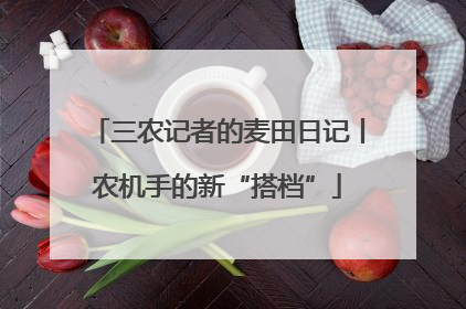 三农记者的麦田日记丨农机手的新“搭档”