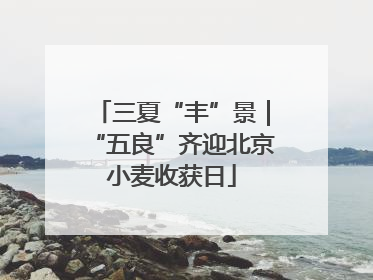 三夏“丰”景｜“五良”齐迎北京小麦收获日