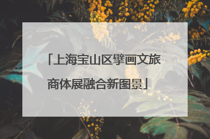 上海宝山区擘画文旅商体展融合新图景