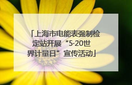 上海市电能表强制检定站开展“5·20世界计量日”宣传活动