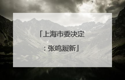 上海市委决定：张鸣履新