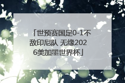世预赛国足0-1不敌印尼队 无缘2026美加墨世界杯