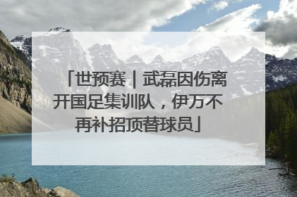 世预赛｜武磊因伤离开国足集训队，伊万不再补招顶替球员
