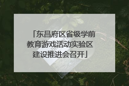 东昌府区省级学前教育游戏活动实验区建设推进会召开