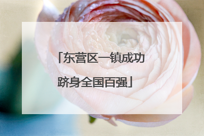 东营区一镇成功跻身全国百强