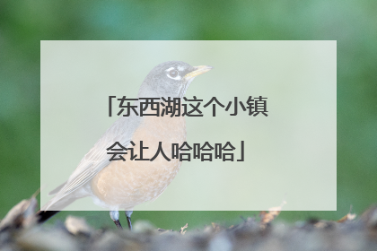 东西湖这个小镇会让人哈哈哈