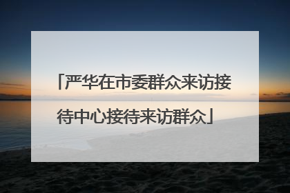 严华在市委群众来访接待中心接待来访群众