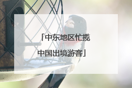 中东地区忙揽中国出境游客
