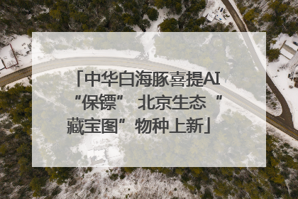 中华白海豚喜提AI“保镖” 北京生态“藏宝图”物种上新