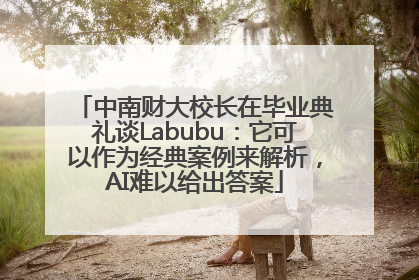 中南财大校长在毕业典礼谈Labubu：它可以作为经典案例来解析，AI难以给出答案