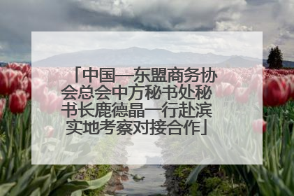 中国—东盟商务协会总会中方秘书处秘书长鹿德晶一行赴滨实地考察对接合作