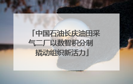 中国石油长庆油田采气二厂以数智积分制 撬动组织新活力