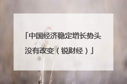 中国经济稳定增长势头没有改变（锐财经）