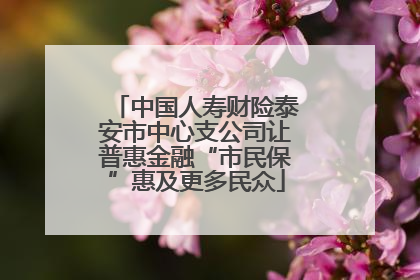 中国人寿财险泰安市中心支公司让普惠金融“市民保”惠及更多民众