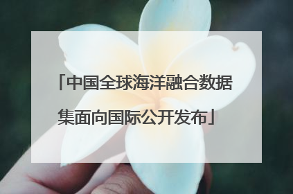 中国全球海洋融合数据集面向国际公开发布