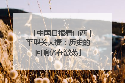中国日报看山西｜平型关大捷：历史的回响仍在激荡