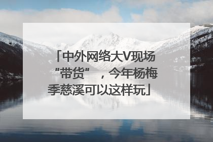中外网络大V现场“带货”，今年杨梅季慈溪可以这样玩