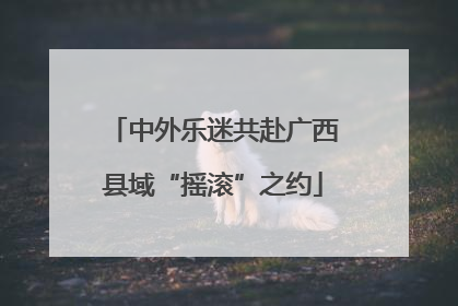 中外乐迷共赴广西县域“摇滚”之约