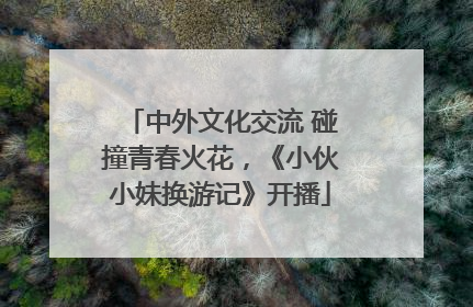 中外文化交流 碰撞青春火花，《小伙小妹换游记》开播