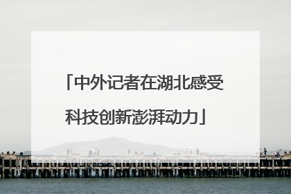 中外记者在湖北感受科技创新澎湃动力