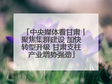 中央媒体看甘肃丨聚焦集群建设 加快转型升级 甘肃支柱产业增势强劲