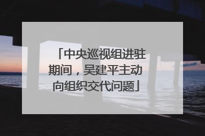 中央巡视组进驻期间，吴建平主动向组织交代问题