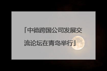 中德跨国公司发展交流论坛在青岛举行