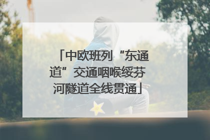 中欧班列“东通道”交通咽喉绥芬河隧道全线贯通