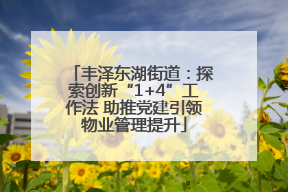 丰泽东湖街道：探索创新“1+4”工作法 助推党建引领物业管理提升