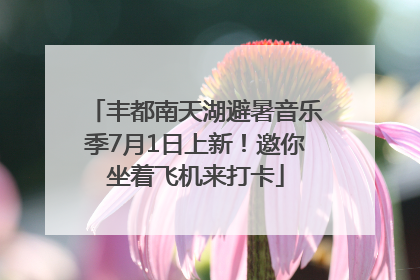 丰都南天湖避暑音乐季7月1日上新！邀你坐着飞机来打卡