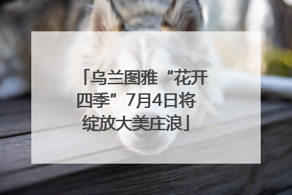 乌兰图雅“花开四季”7月4日将绽放大美庄浪
