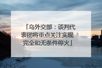 乌外交部：谈判代表团将重点关注实现完全和无条件停火