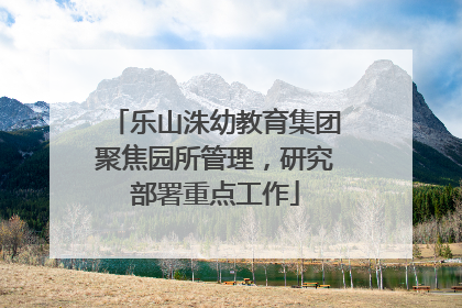 乐山洙幼教育集团聚焦园所管理，研究部署重点工作