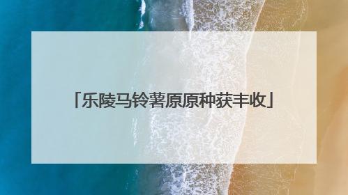 乐陵马铃薯原原种获丰收