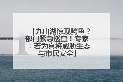 九山湖惊现鳄鱼？部门紧急巡查！专家：若为真将威胁生态与市民安全
