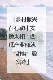 乡村振兴在行动丨安徽太和：西瓜产业铺就“甜蜜”致富路
