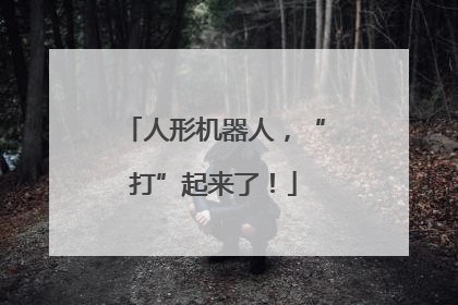 人形机器人，“打”起来了！