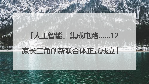人工智能、集成电路……12家长三角创新联合体正式成立