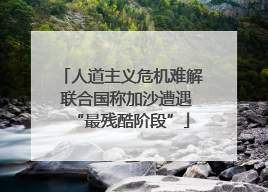 人道主义危机难解 联合国称加沙遭遇“最残酷阶段”
