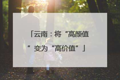 云南：将“高颜值”变为“高价值”