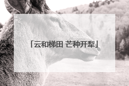 云和梯田 芒种开犁