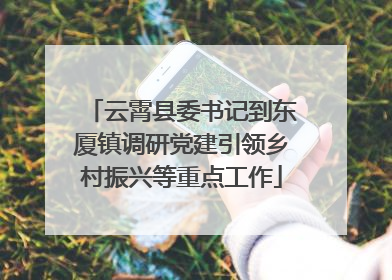 云霄县委书记到东厦镇调研党建引领乡村振兴等重点工作