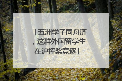 五洲学子同舟济，这群外国留学生在沪挥桨竞逐