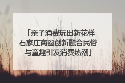 亲子消费玩出新花样 石家庄商圈创新融合民俗与童趣引发消费热潮