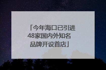 今年海口已引进48家国内外知名品牌开设首店