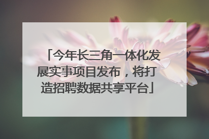 今年长三角一体化发展实事项目发布，将打造招聘数据共享平台