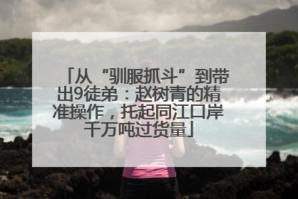 从“驯服抓斗”到带出9徒弟：赵树青的精准操作，托起同江口岸千万吨过货量