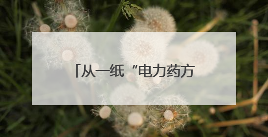 从一纸“电力药方”看绍兴绿色革命