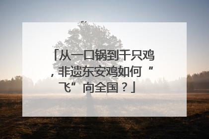 从一口锅到千只鸡，非遗东安鸡如何“飞”向全国？